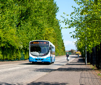 Buses