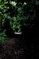DSC_0004-2